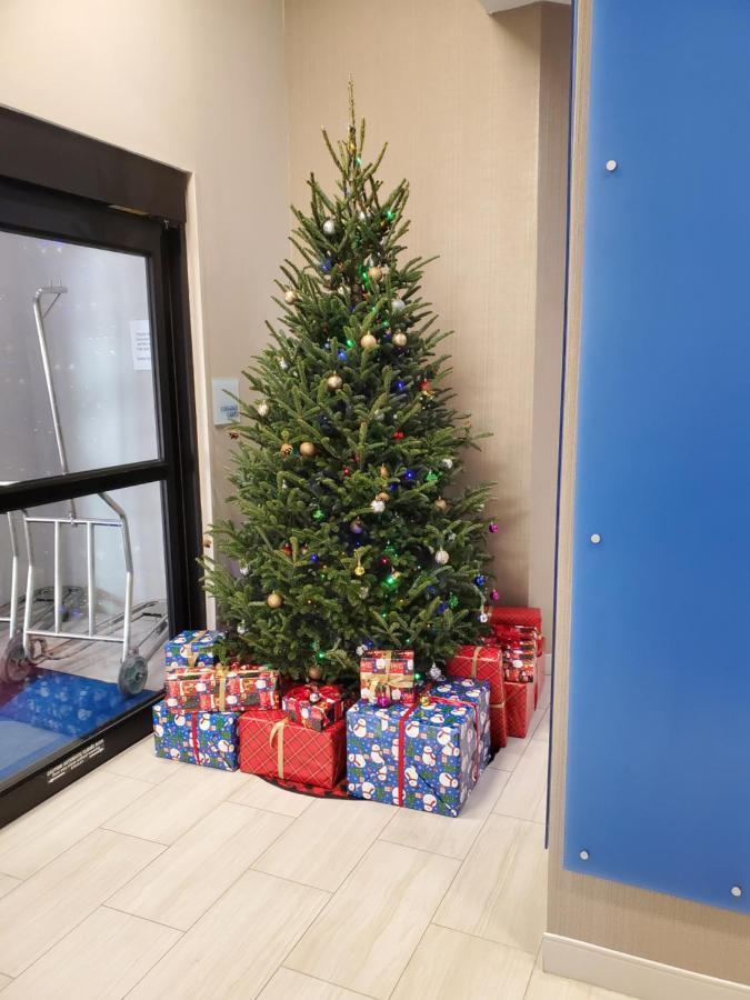 Holiday Inn Express St. Augustine - Vilano Beach By Ihg Buitenkant foto